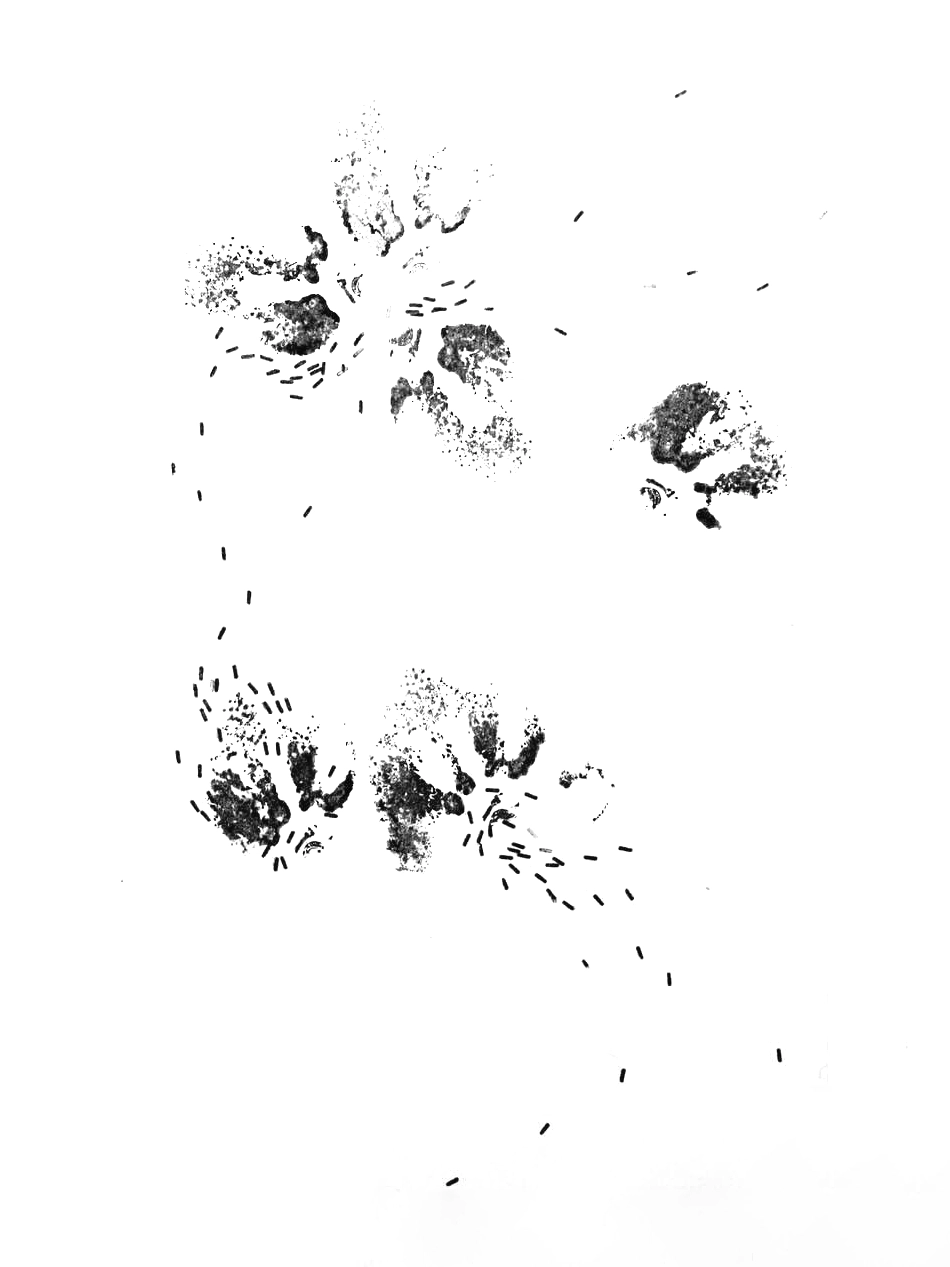 Small Practice 09
