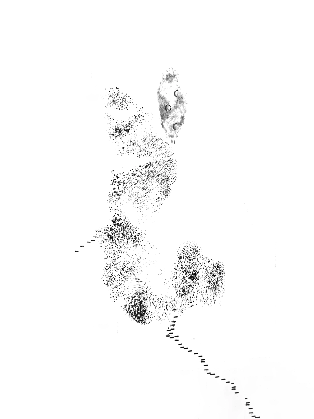 Small Practice 10