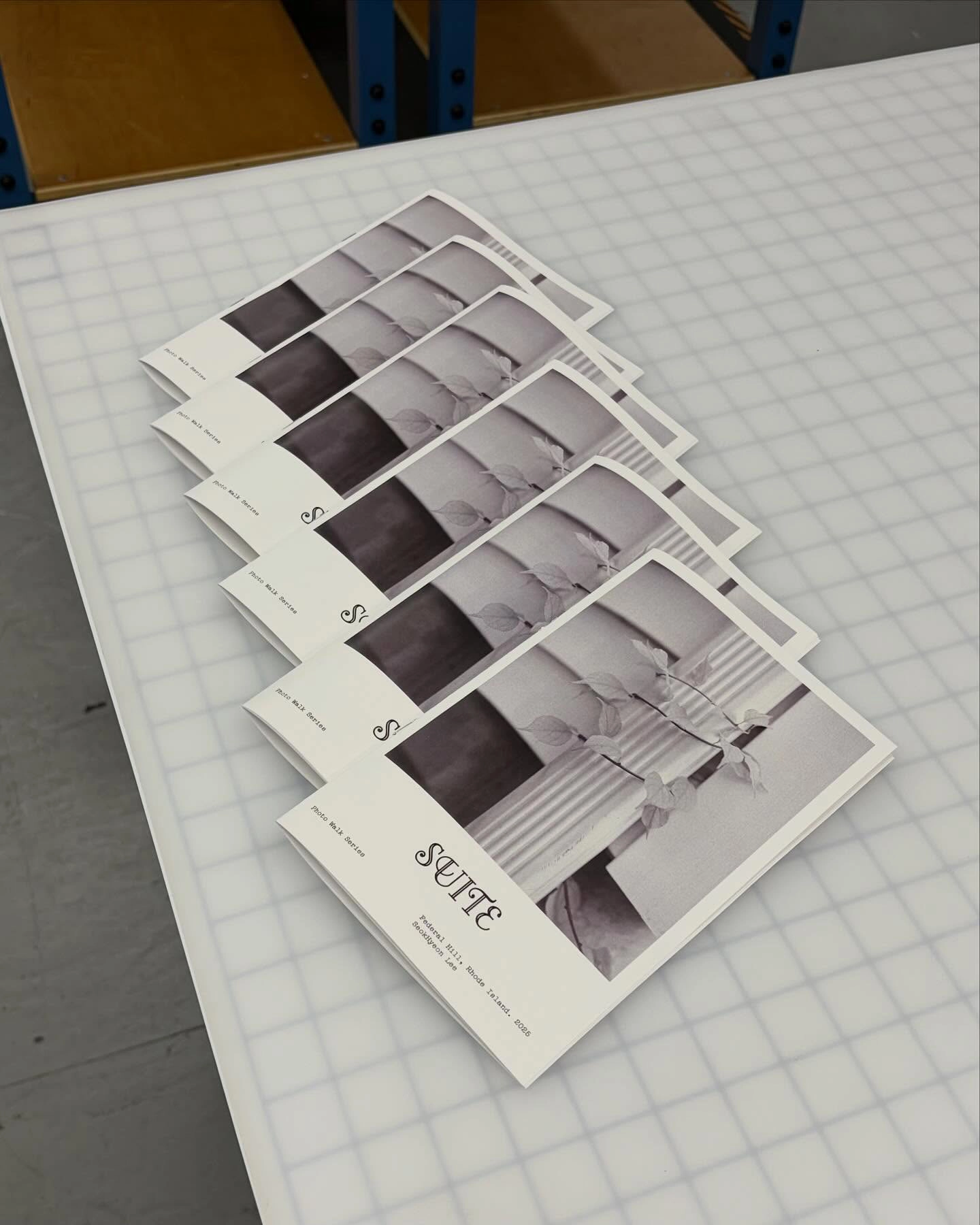 Suite Zine 12